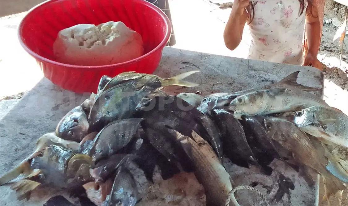 Hubo escasez en la pesca de mojarra