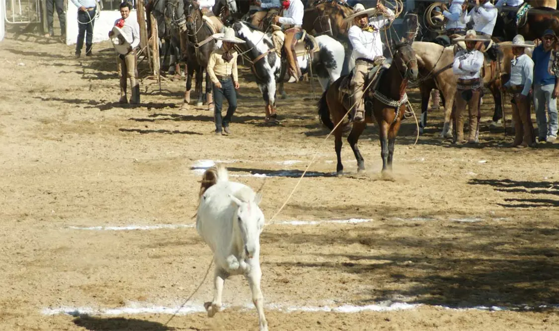 Torneo Virgen del Rosario 2024, a lo grande