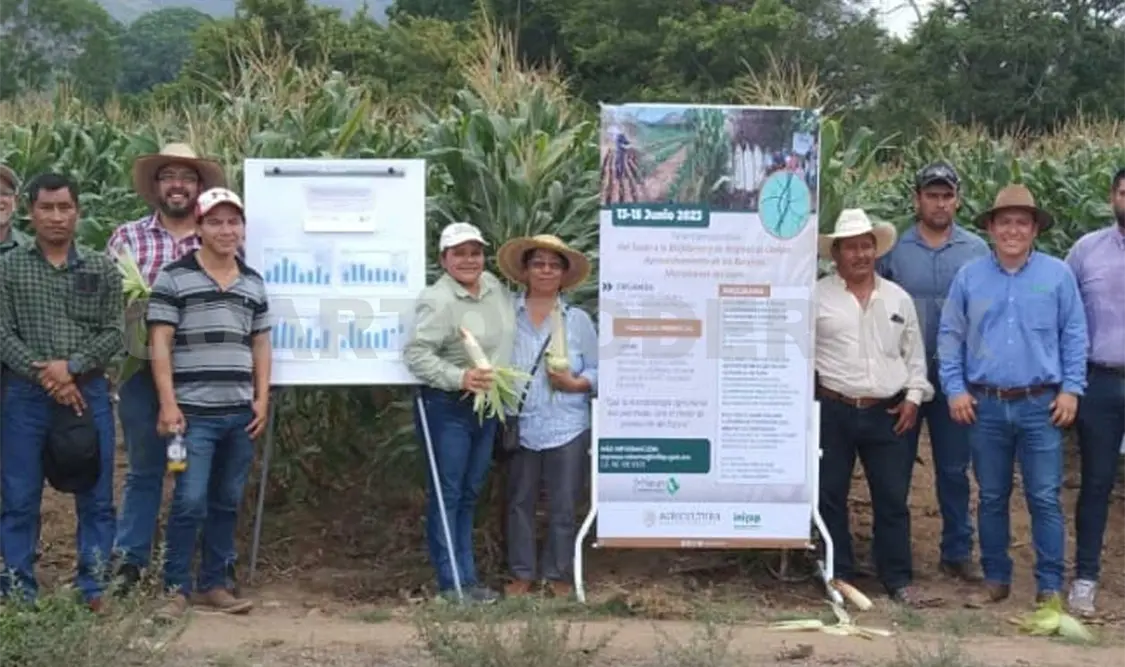 Los investigadores abordaron diversos temas enfocados a recuperar la fertilidad de los suelos. Cortesía