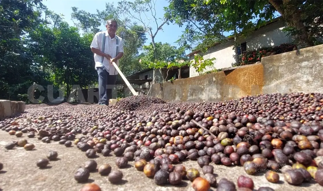 Piden precio justo del café; no hay respuesta
