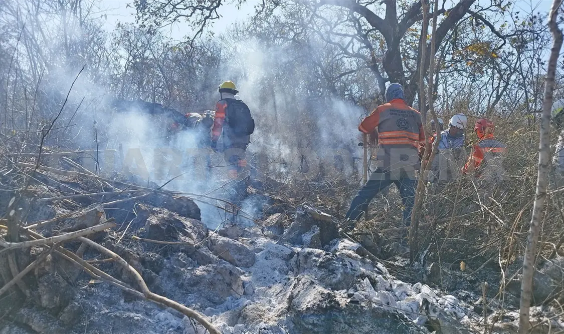 Mantienen coordinación para prevenir incendios