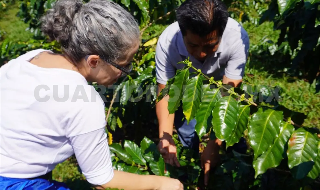 Buscan entender desafíos en la formación educativa