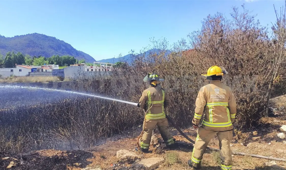 Incendio de pastizal daña dos hectáreas