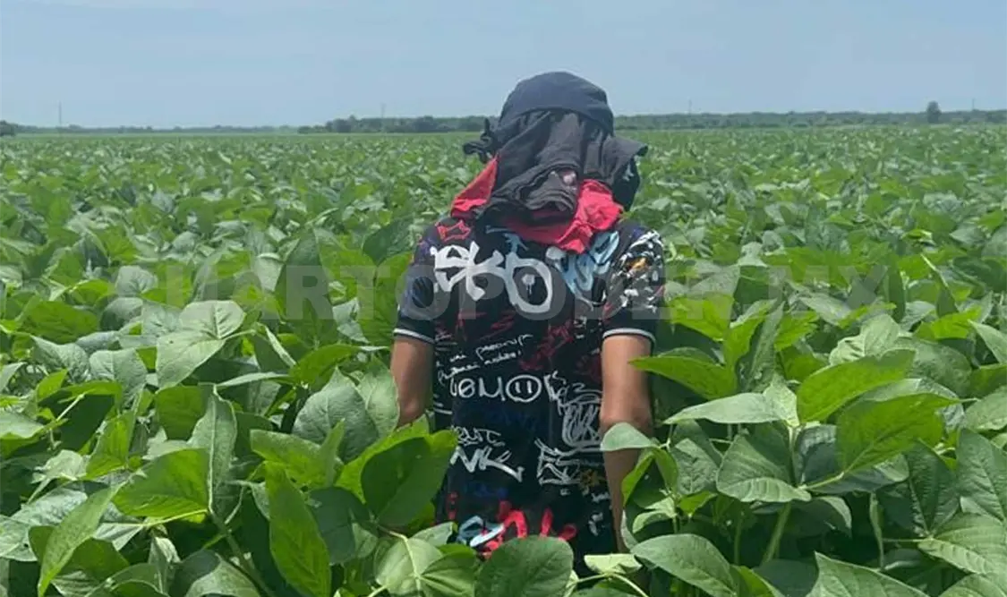 El campo dejó de recibir muchos apoyos en este sexenio, aseguran. Cortesía