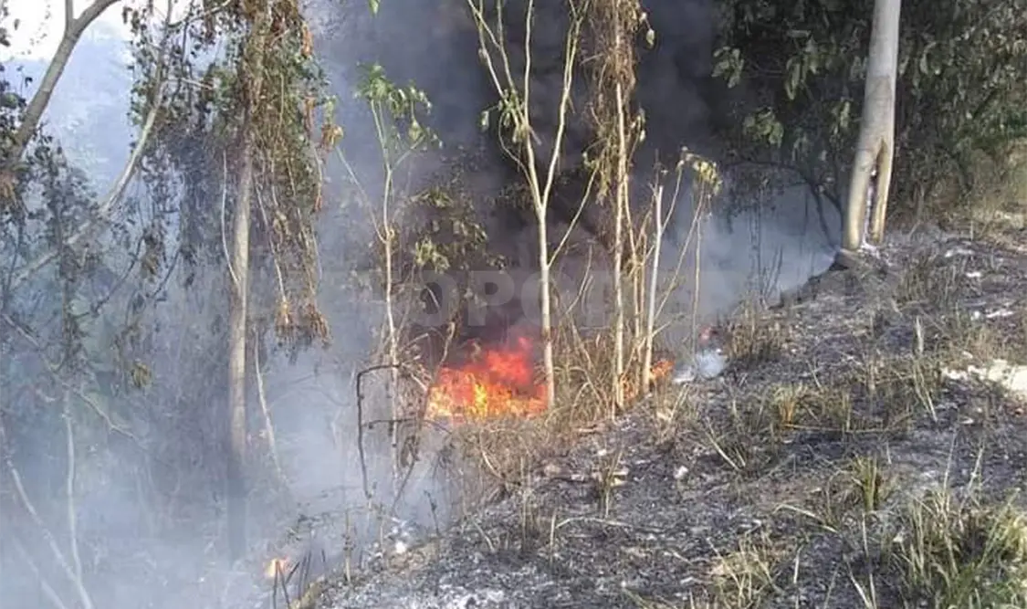 Bomberos reportan alza en incendios de pastizales