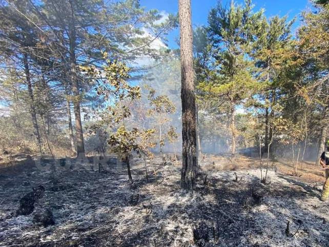 Chamula Registra Primer Incendio Forestal Del Año