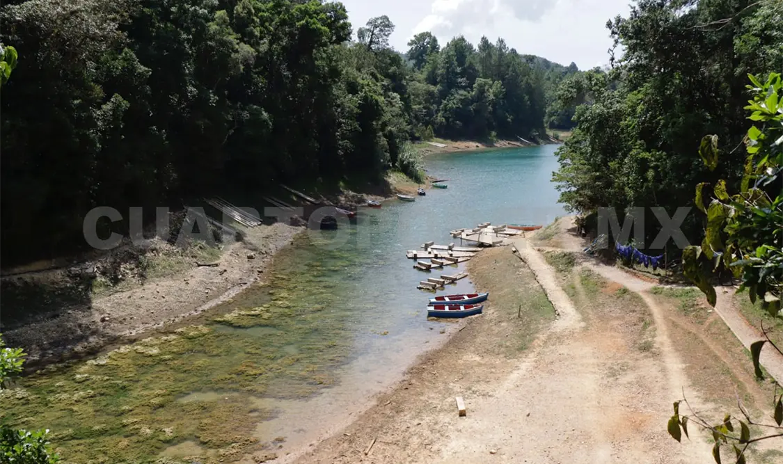 Protegen cuencas de la selva El Ocote