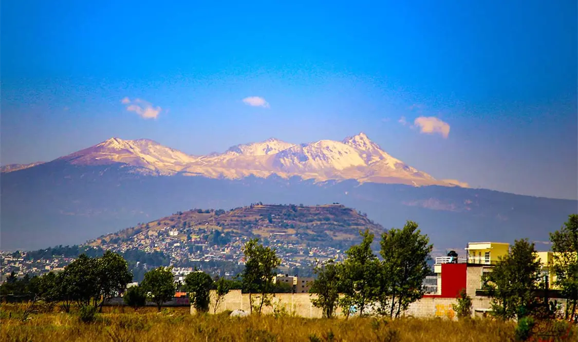 Continúa la tala ilegal en el Nevado de Toluca