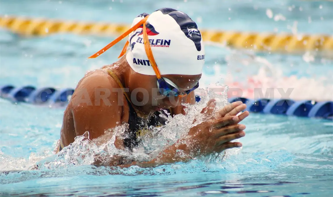 Delfines acapararon podios en la Copa Alebrijes