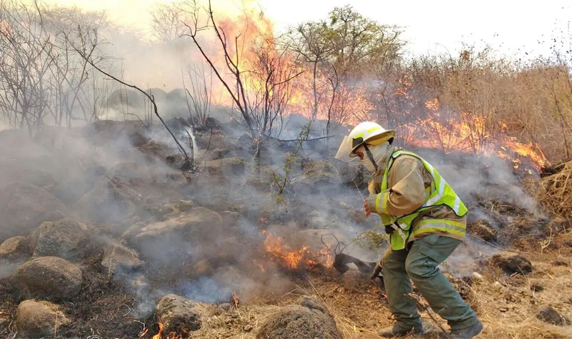 Aplican millonarias multas por provocar incendios