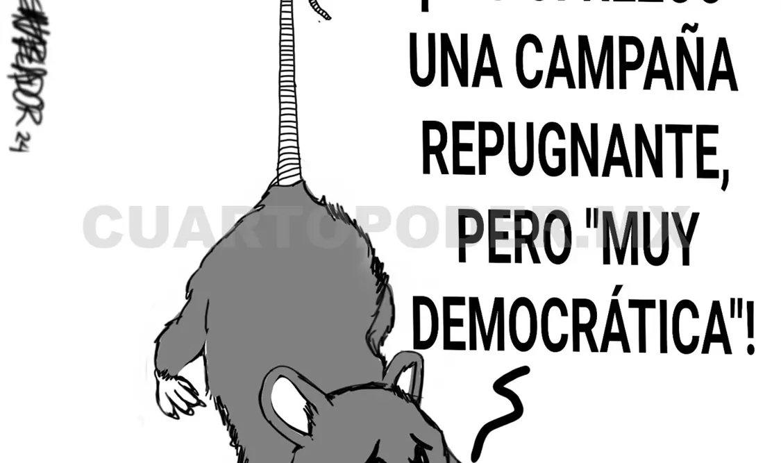 Por fin iniciaron las campañas