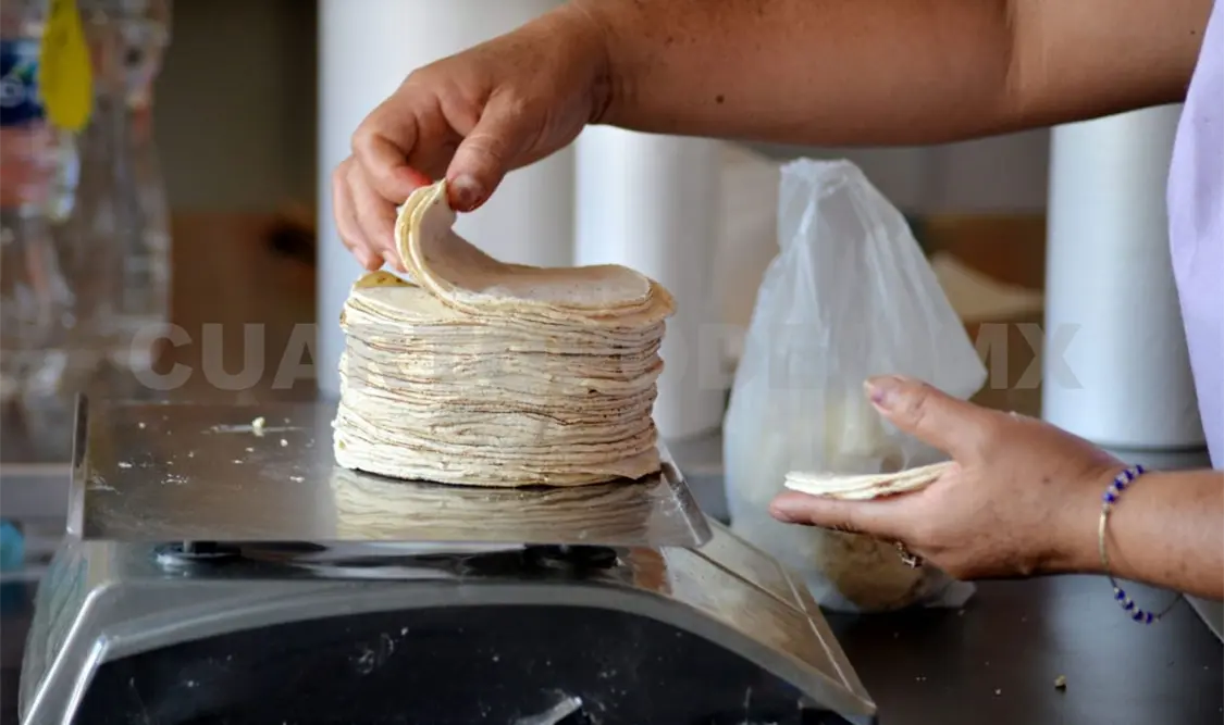 Reglamentarán a los tortilleros