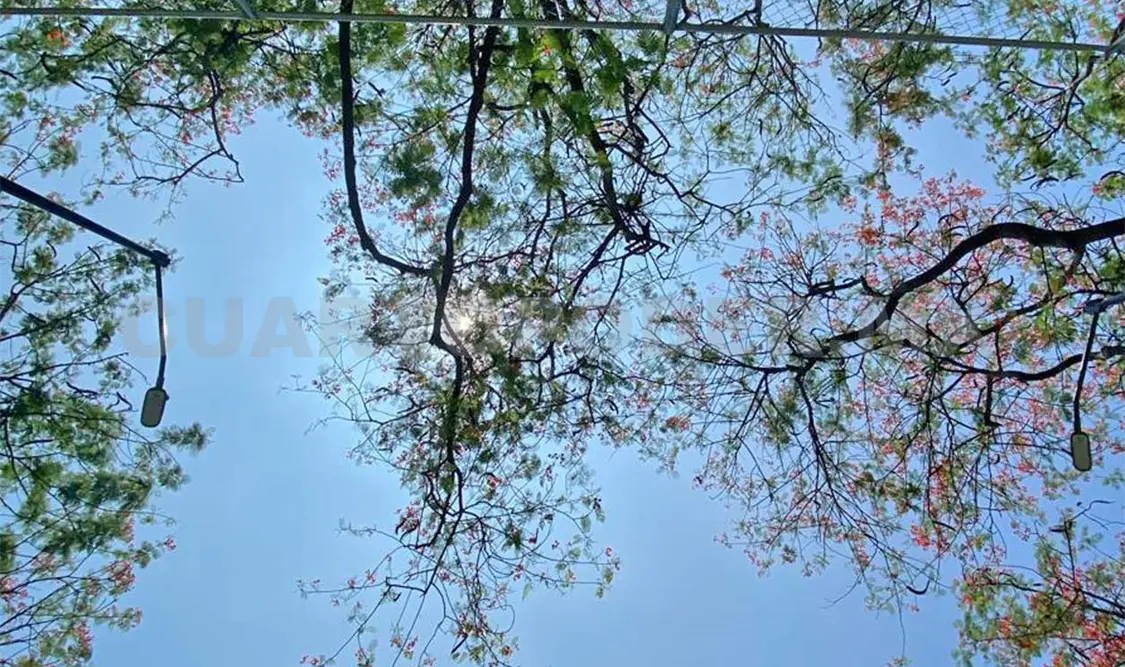 El reporte de las autoridades indica que el fuerte calor seguirá y con cielos despejados. Cortesía