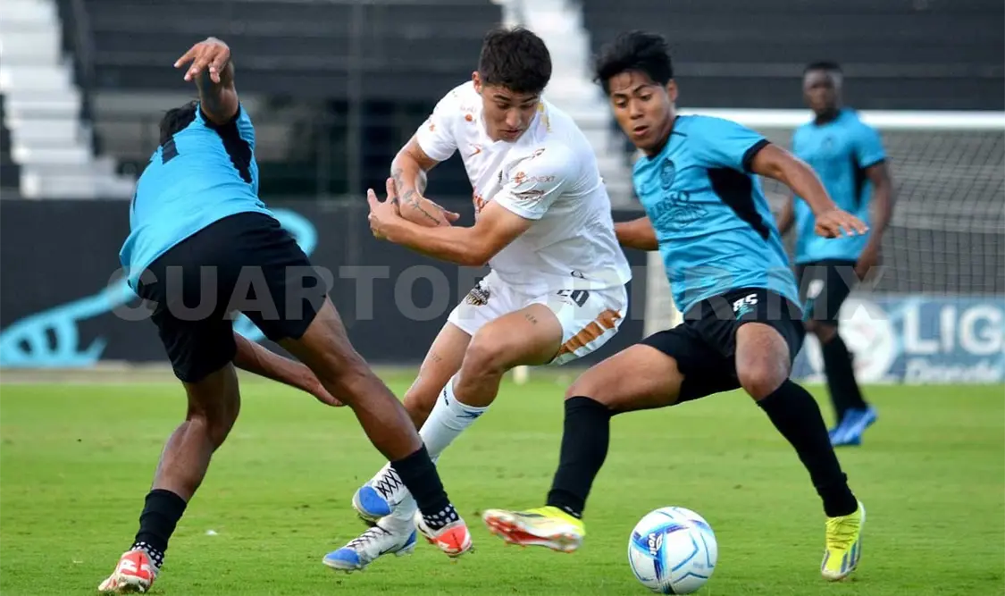 El aromático suma de a cuatro en Quintana Roo