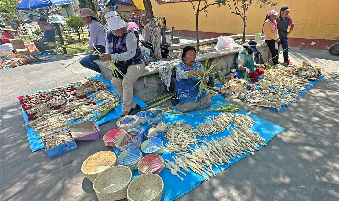 Sobrevive tradicio´n de palmas tejidas