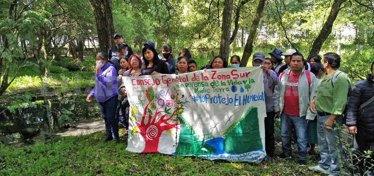 Ambientalistas piden proteger los humedales