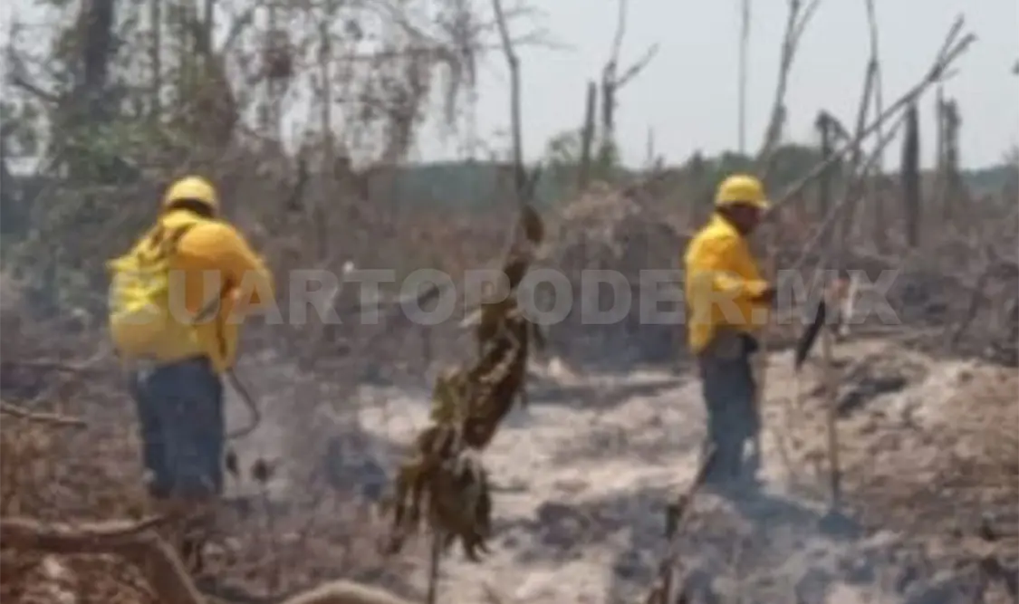 Necesaria mayor vigilancia para combatir incendios