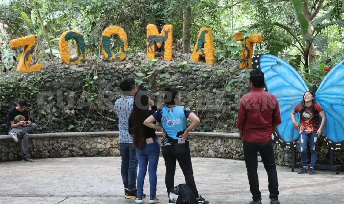 Más de 15 mil personas acudieron al ZooMAT