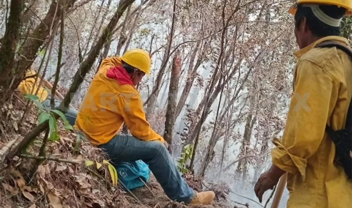 Más brigadas se suman para combatir incendio