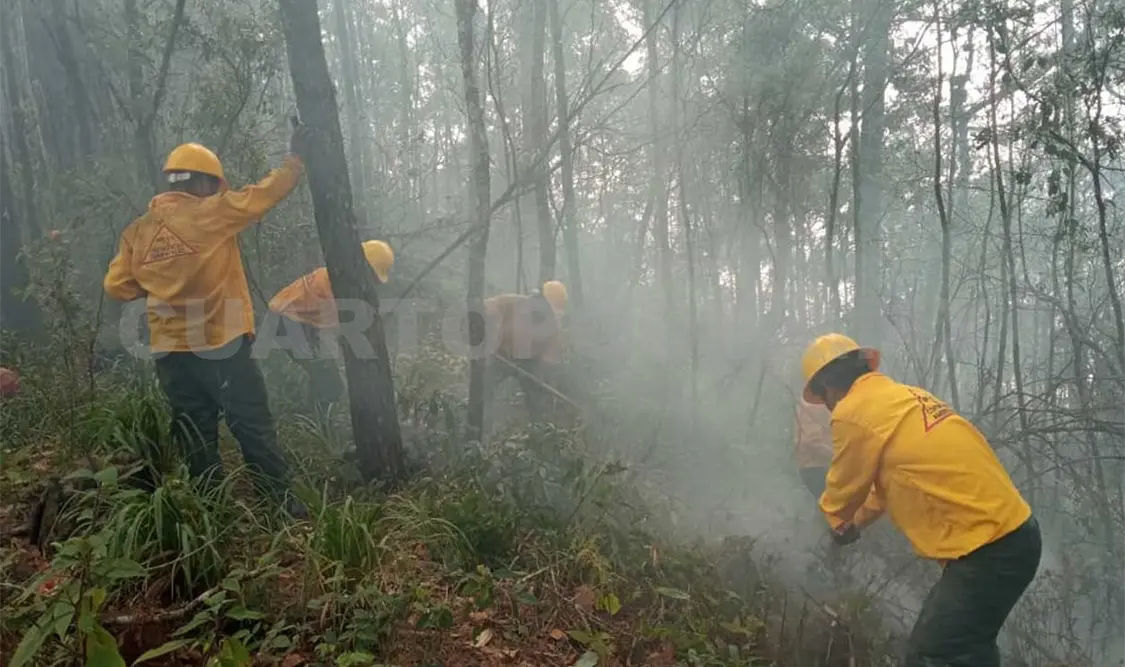 Los combatientes de incendios arriesgan su integridad al realizar su trabajo. Víctor Sánchez / CP