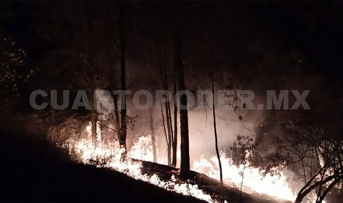 Puntos de origen del fuego están identificados