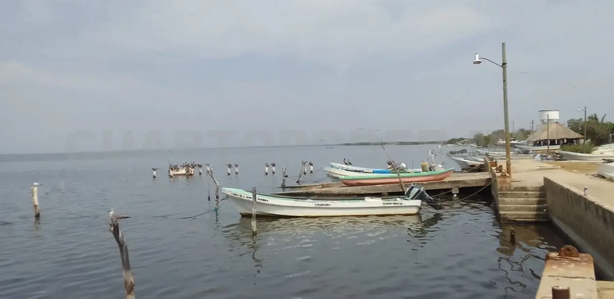 Pescadores vuelven a trabajar en altamar