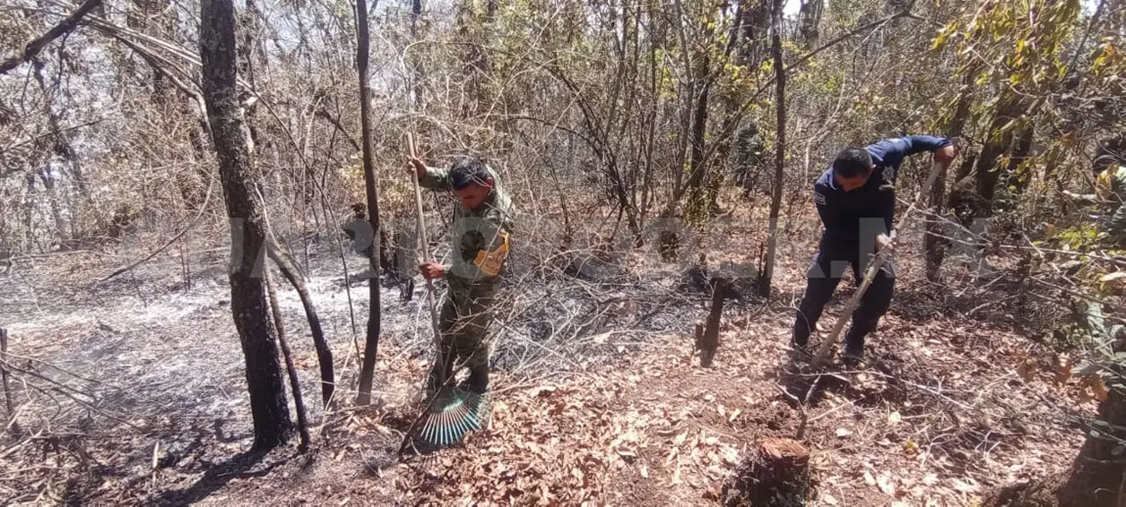 Fuego consume hectáreas de arbolado y pastizal