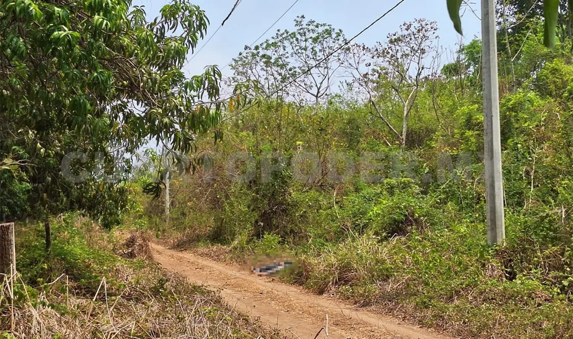 Torturan y ejecutan a tres en Tapachula