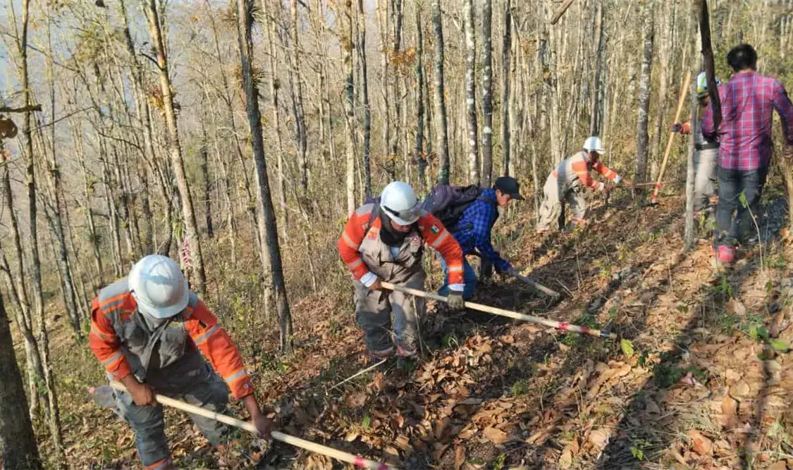Se mantienen labores de prevención y combate de incendios en Chiapas.