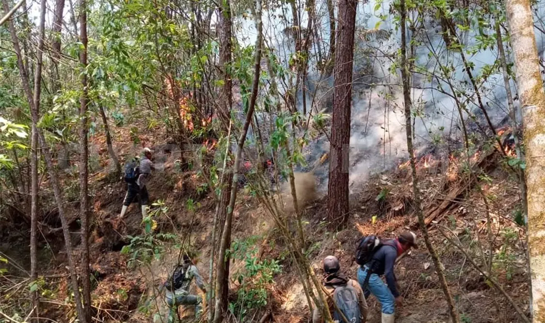 Históricas afectaciones de incendio en El Triunfo