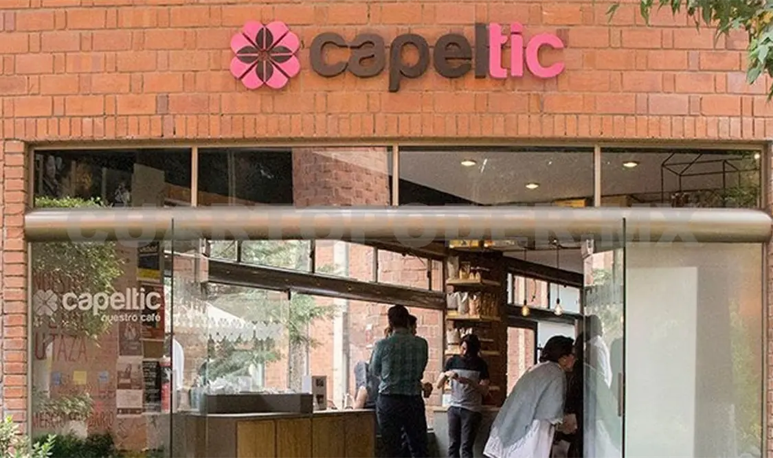 Cooperativa tseltal, ejemplo de “puente intercultural”