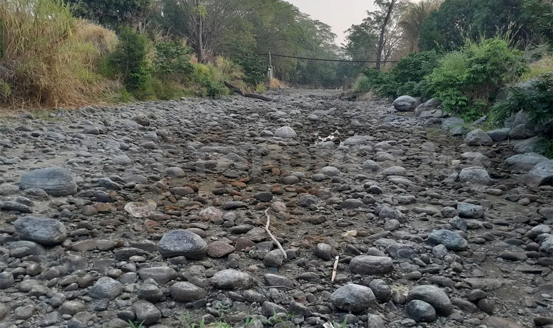 Destrucción ambiental provoca que ríos se sequen en la costa