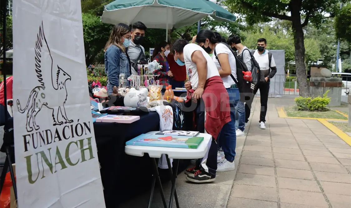 Promueven la “Carta de la Tierra” en Chiapas