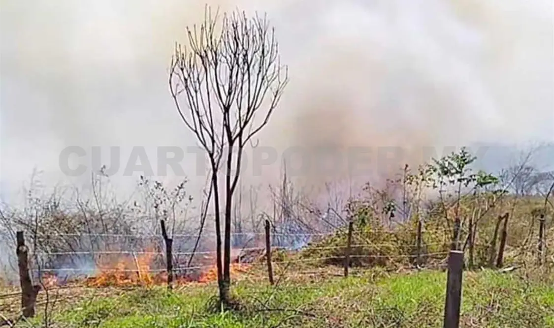 Adulto mayor muere calcinado en incendio