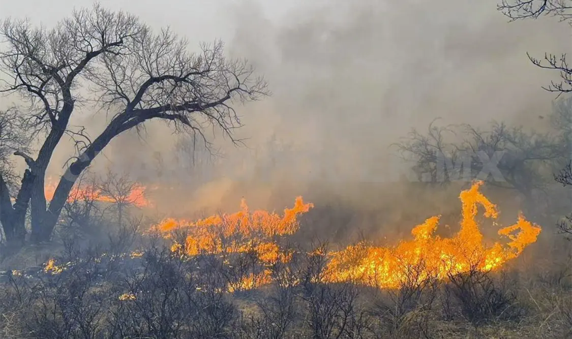 Chiapas registra más de 80 incendios forestales: Conafor