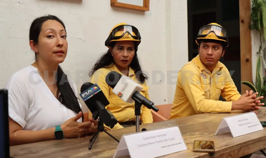 Incendios siguen consumiendo la vegetación local