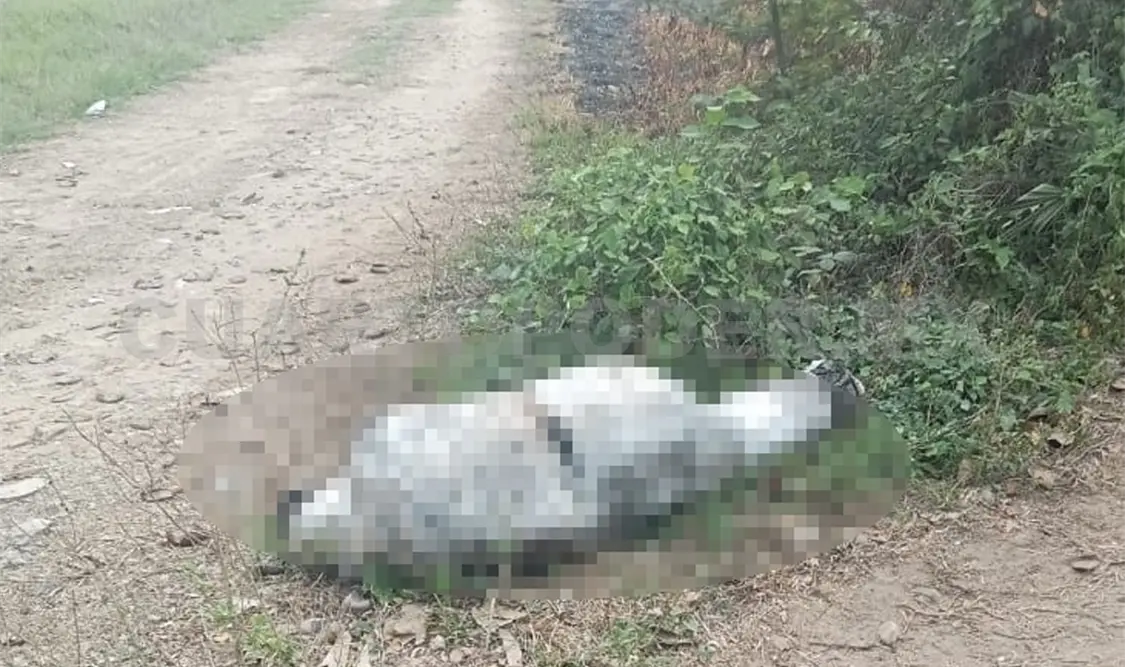 Encuentran cuerpo embolsado en camino de terracería