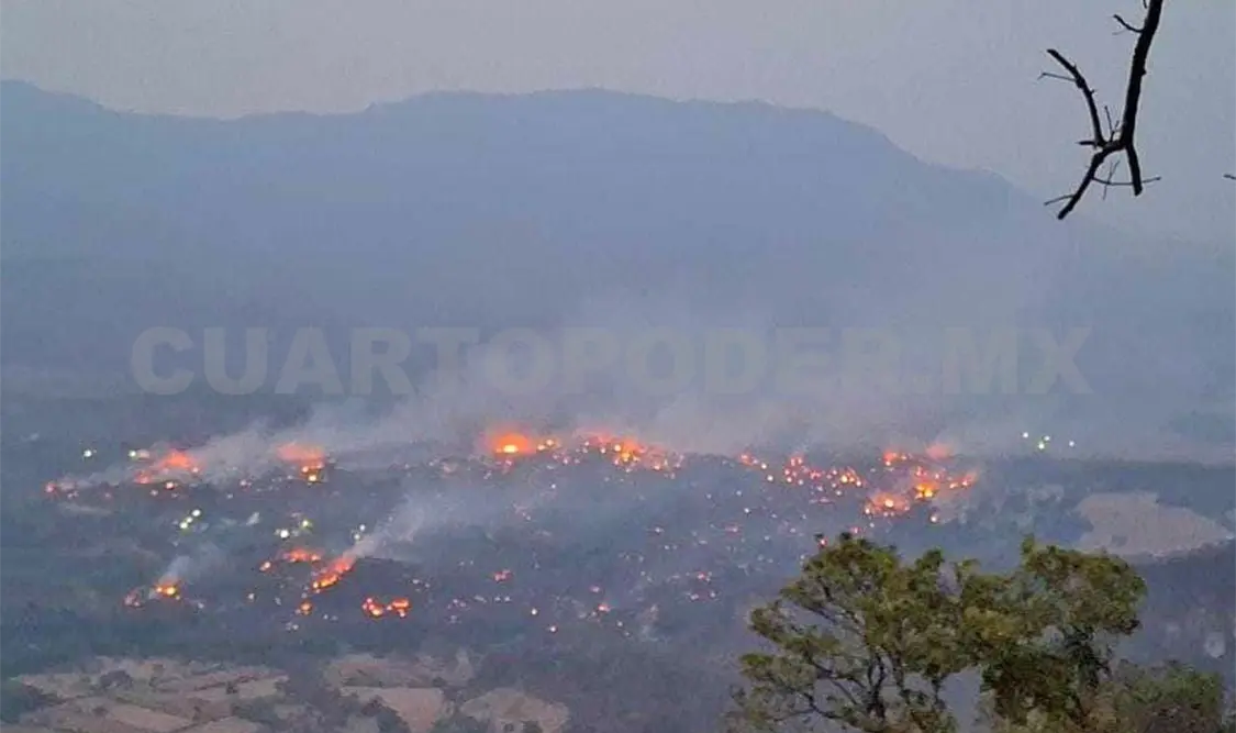 Incendio arrasa decenas de hectáreas, denuncian