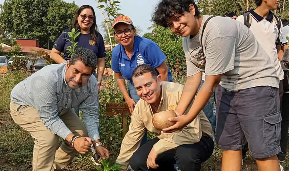 El proyecto busca fomentar la polinización que realizan las abejas. Cortesía