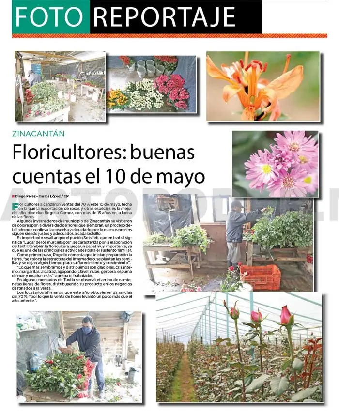 Floricultores: buenas cuentas el 10 de mayo
