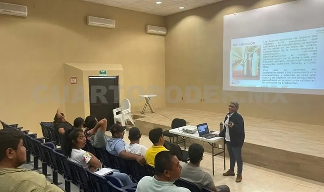 Promueven investigación e innovación en bovinos