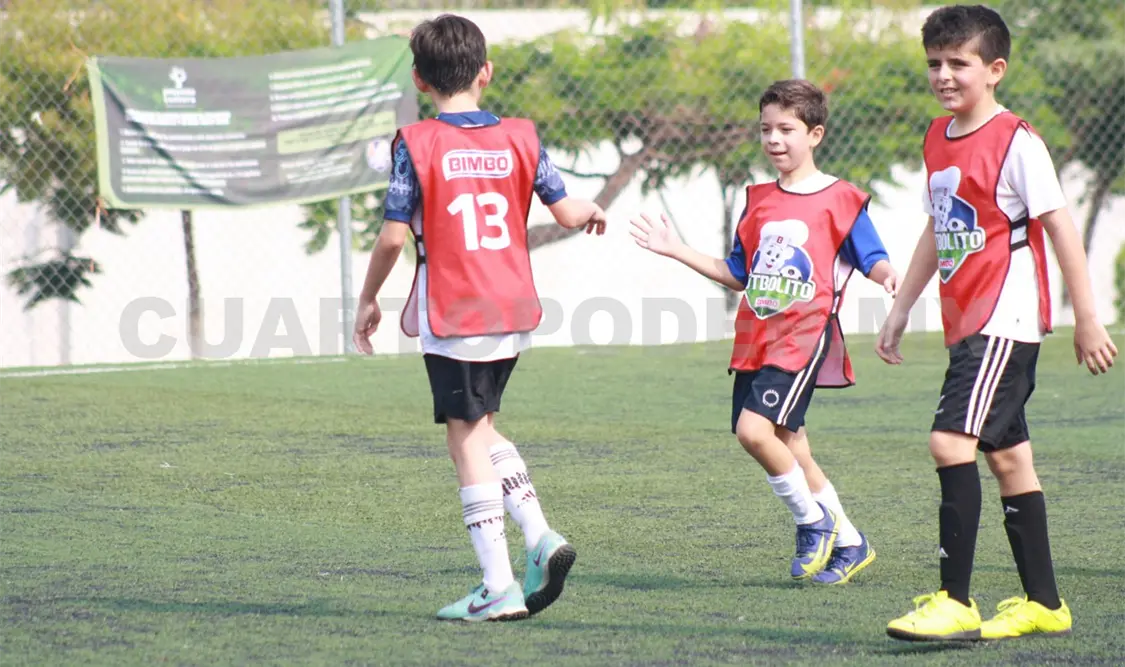 Instituto Andes avanza con autoridad