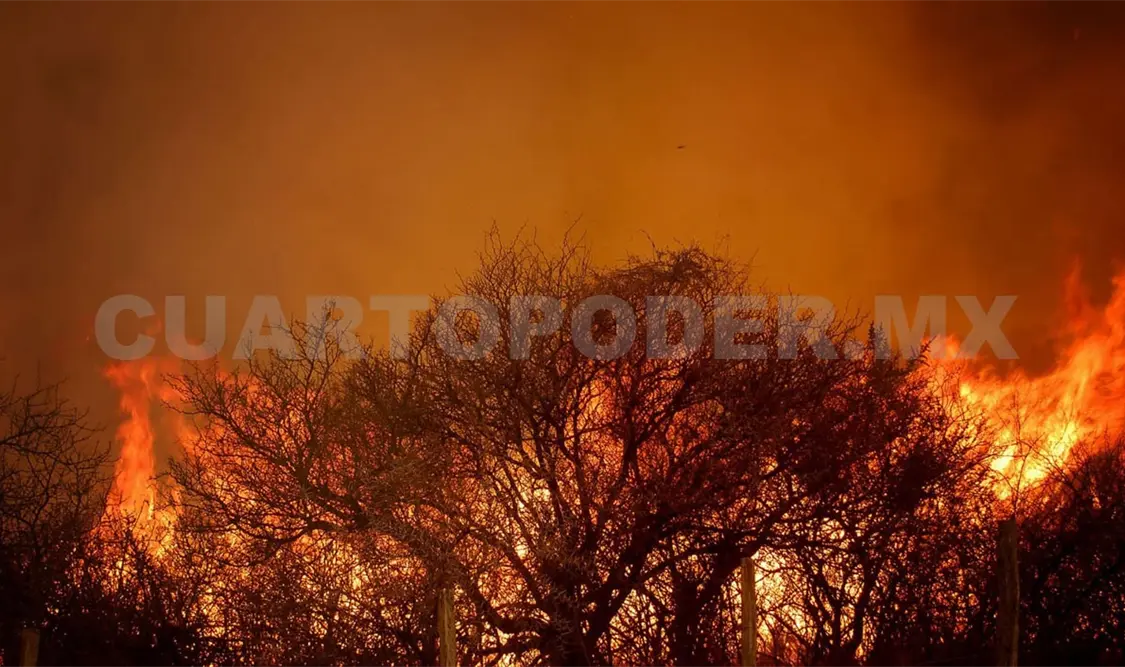 Van 114 incendios en la temporada de estiaje en Chiapas