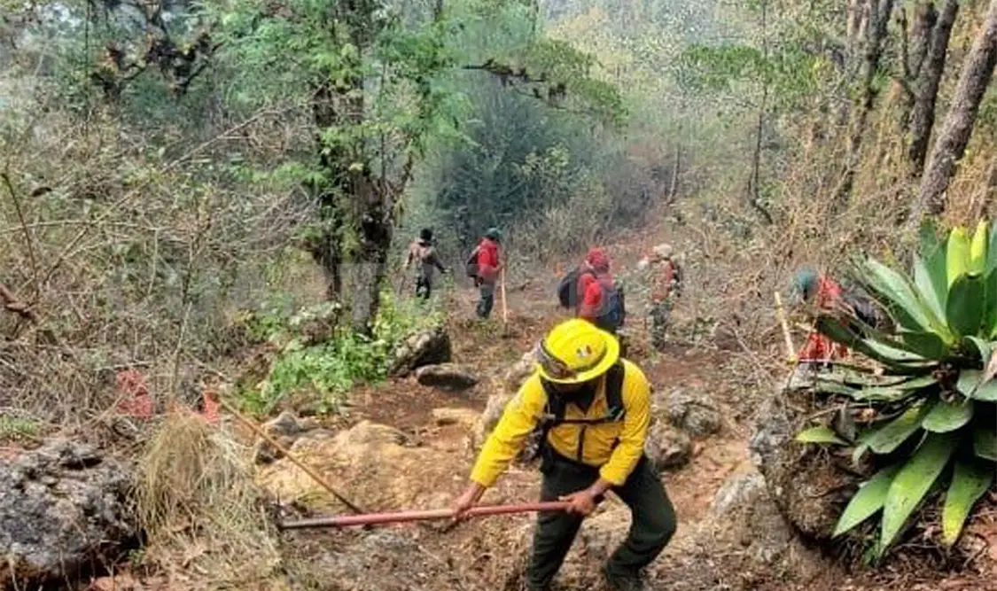 Incendio consume más de 45 hectáreas de bosque