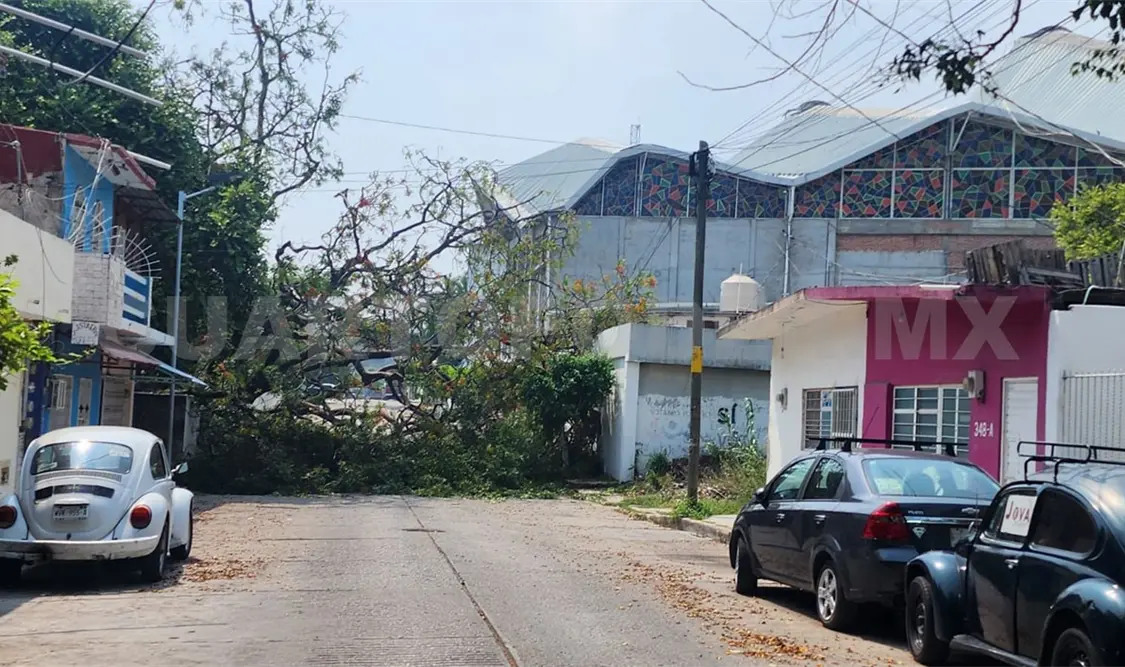 Reportan afectaciones por precipitaciones en Tuxtla
