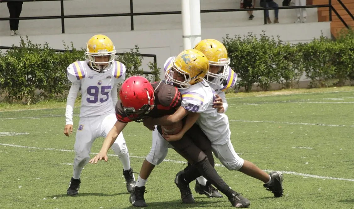 Búhos y Osos de Chiapas reparten victorias