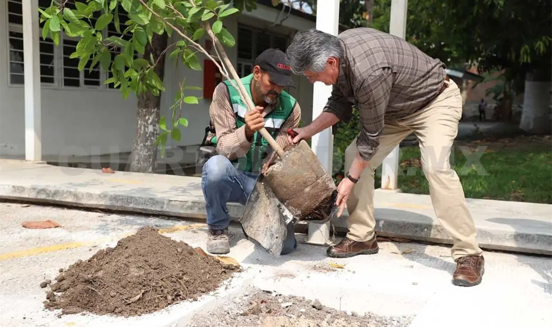 Inicia campaña de reforestación