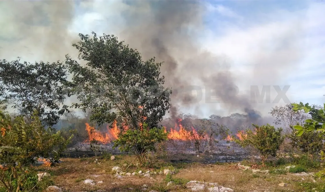 Casi 50 mil ha se han quemado en Chiapas