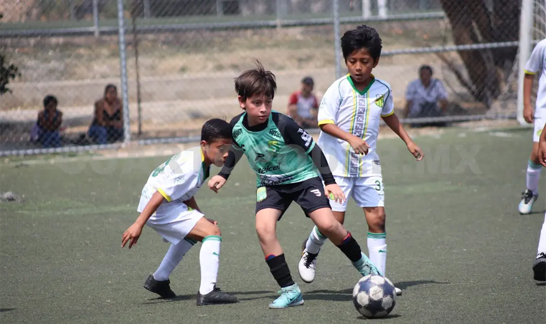 León quiere rugir en el Sospó
