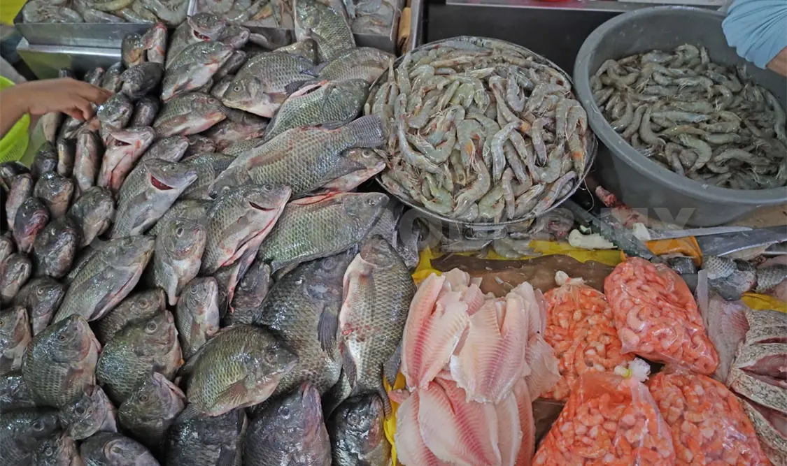 Emiten recomendación al consumir mariscos